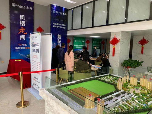 春日集市，套圈贏好禮 二手日用百貨的綠色新風(fēng)尚