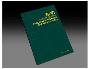 石家莊設(shè)計(jì)公司 如何通過多元化設(shè)計(jì)服務(wù)提升品牌影響力？